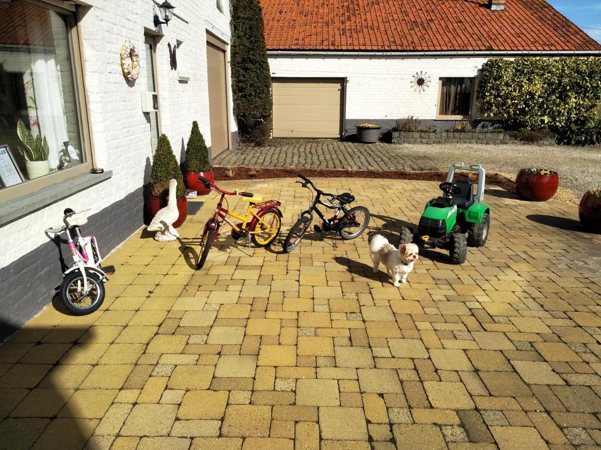 B&B Het Polderhof 亚贝克 外观 照片