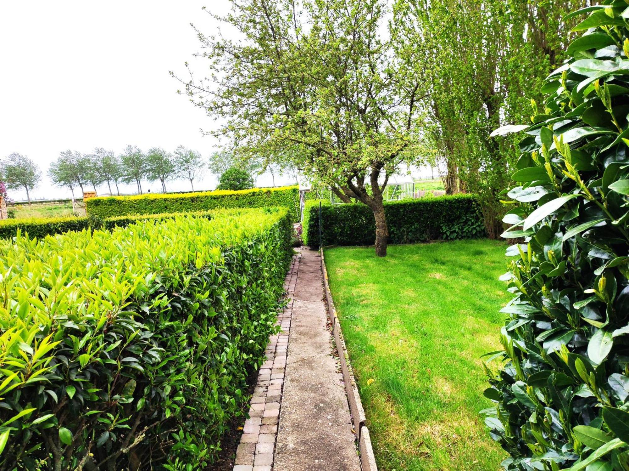 B&B Het Polderhof 亚贝克 外观 照片