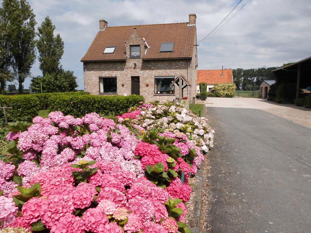 B&B Het Polderhof 亚贝克 外观 照片